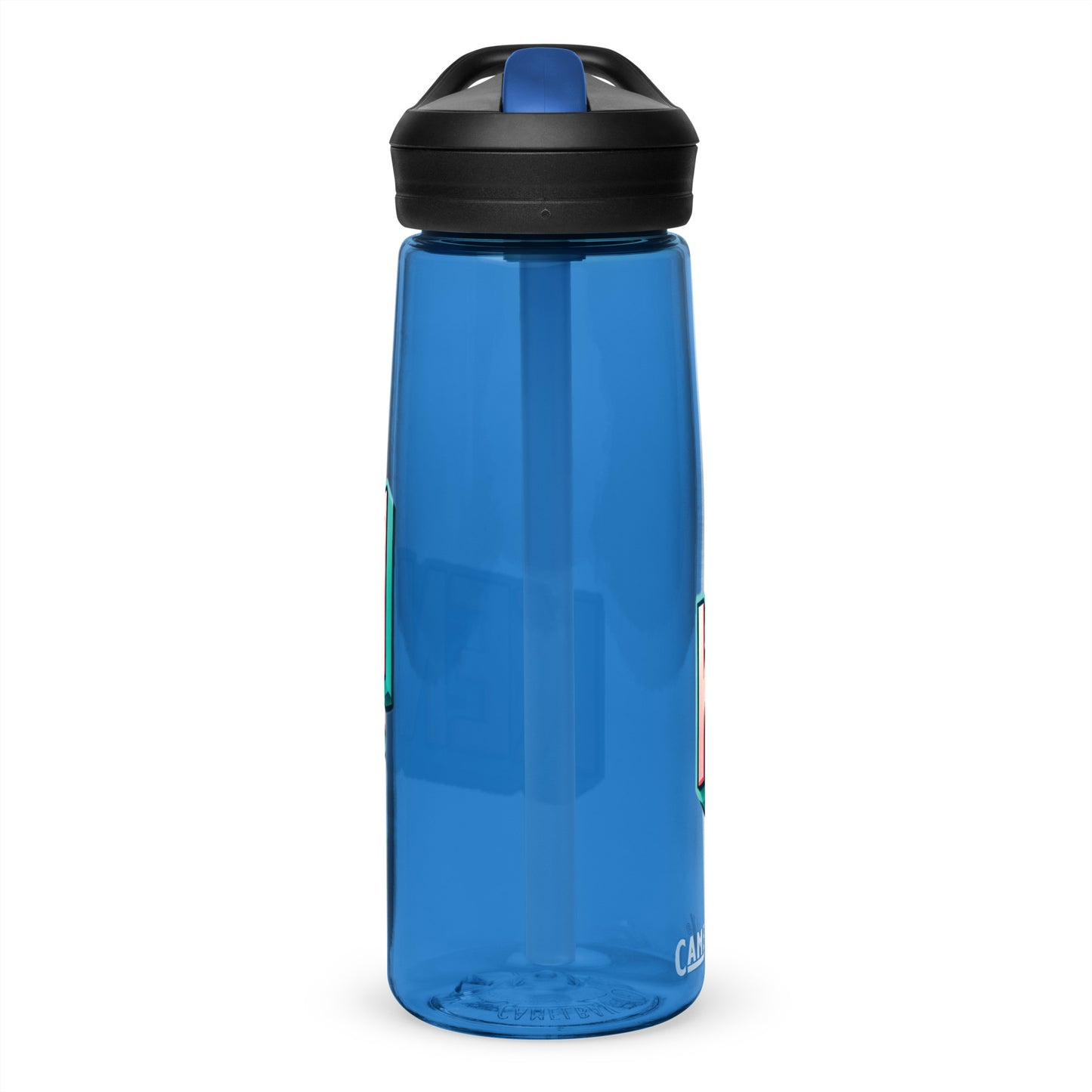 Sports water bottle